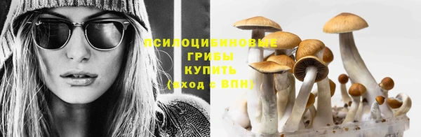 мескалин Аркадак
