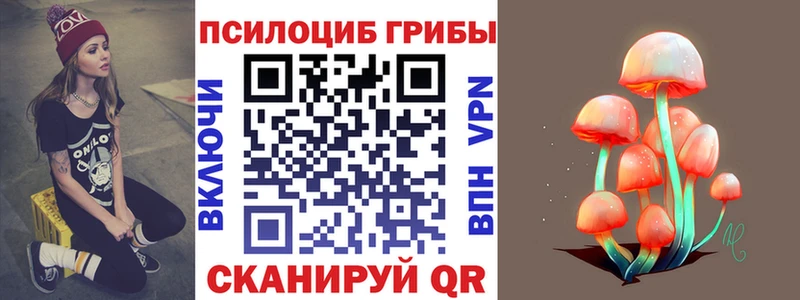 Галлюциногенные грибы Psilocybine cubensis  Спас-Деменск 